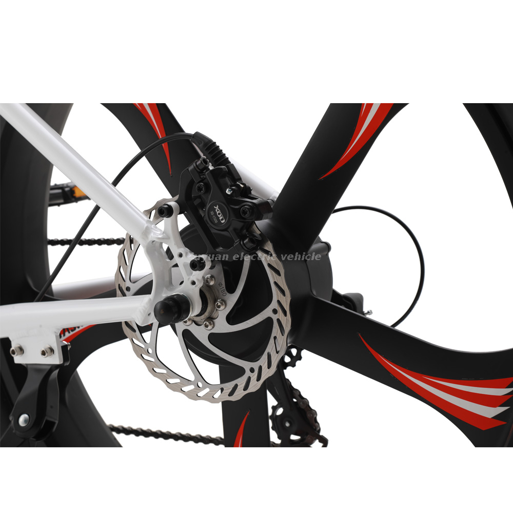 Ebicycle 32km/h Nouveaux vélos électriques promus