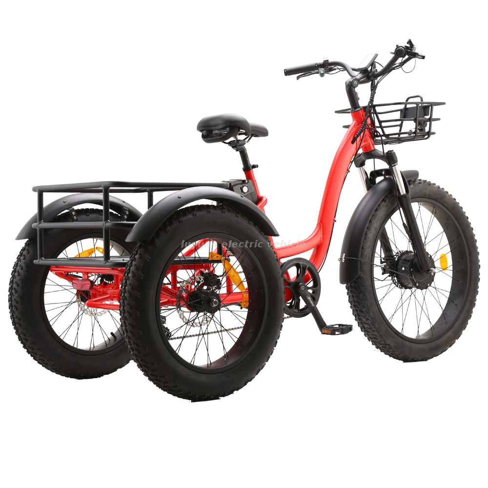 Tricycle électrique ET01