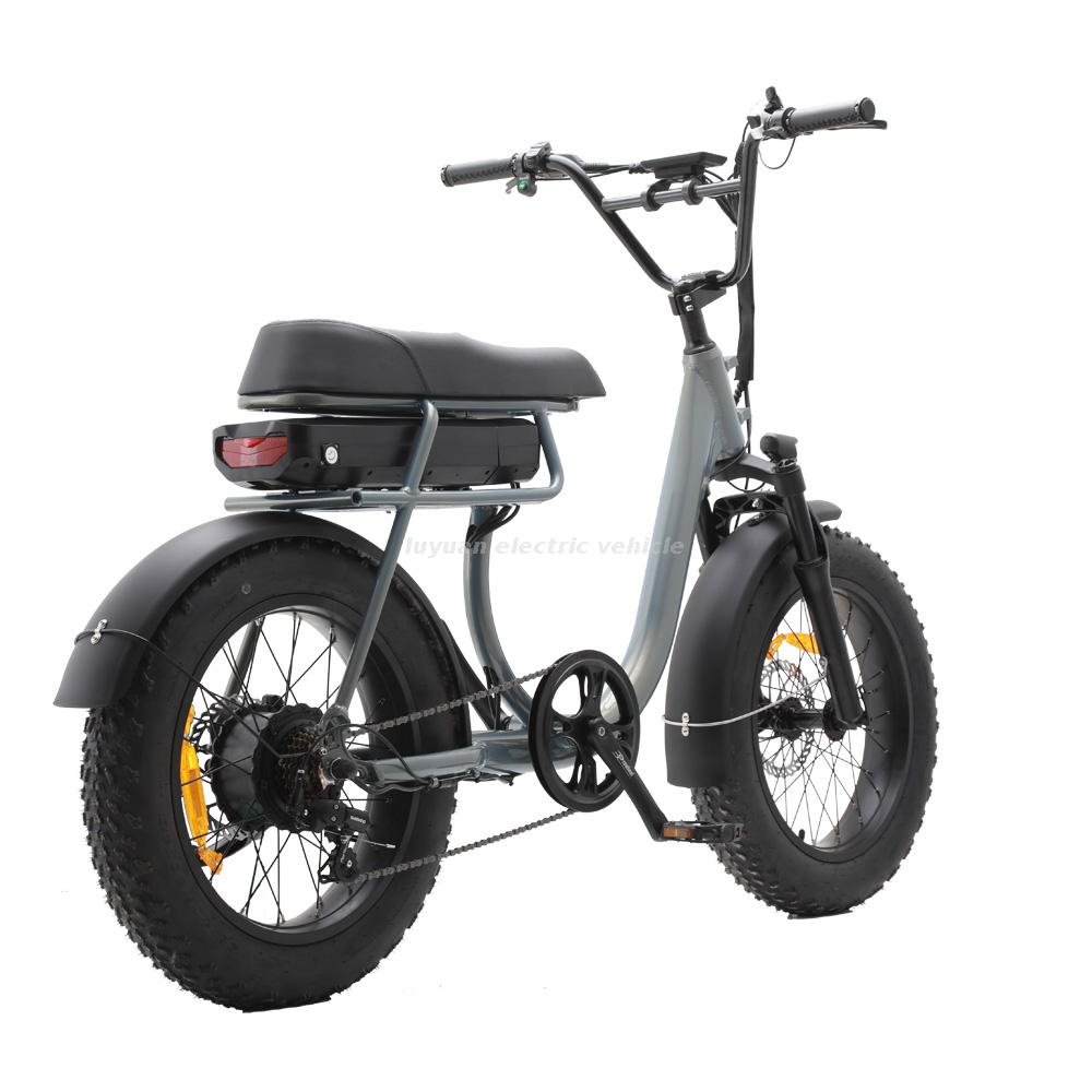 Vélos électriques Middle Drive Bicycle Black Hike