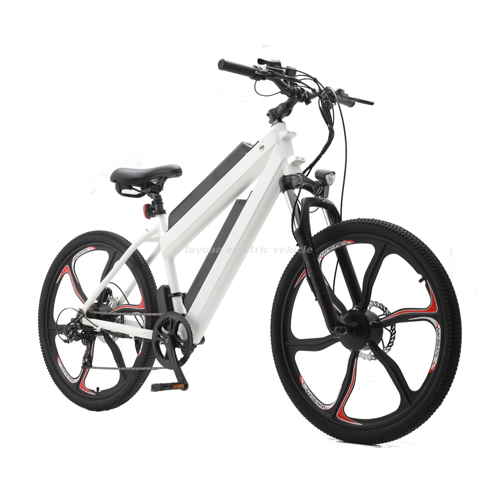 Vélo électrique EM 02D