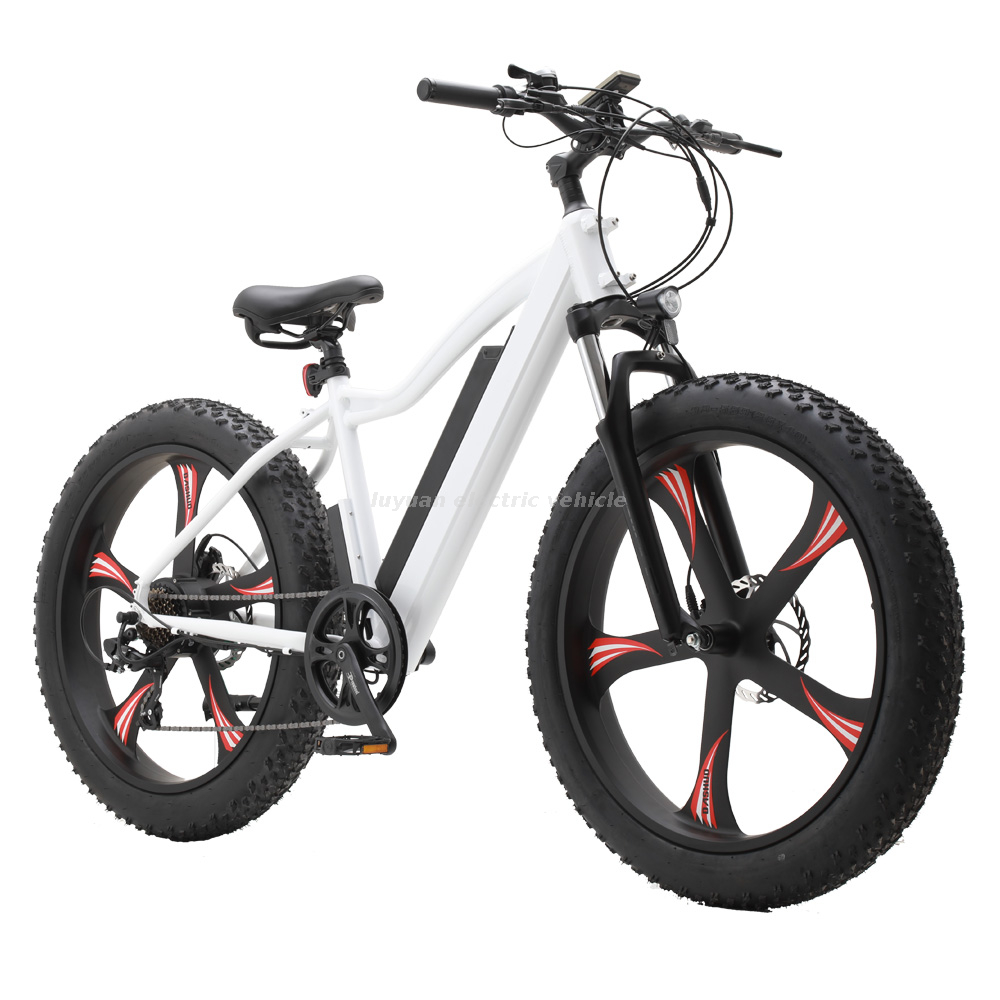 Ebicycle 32km/h Nouveaux vélos électriques promus