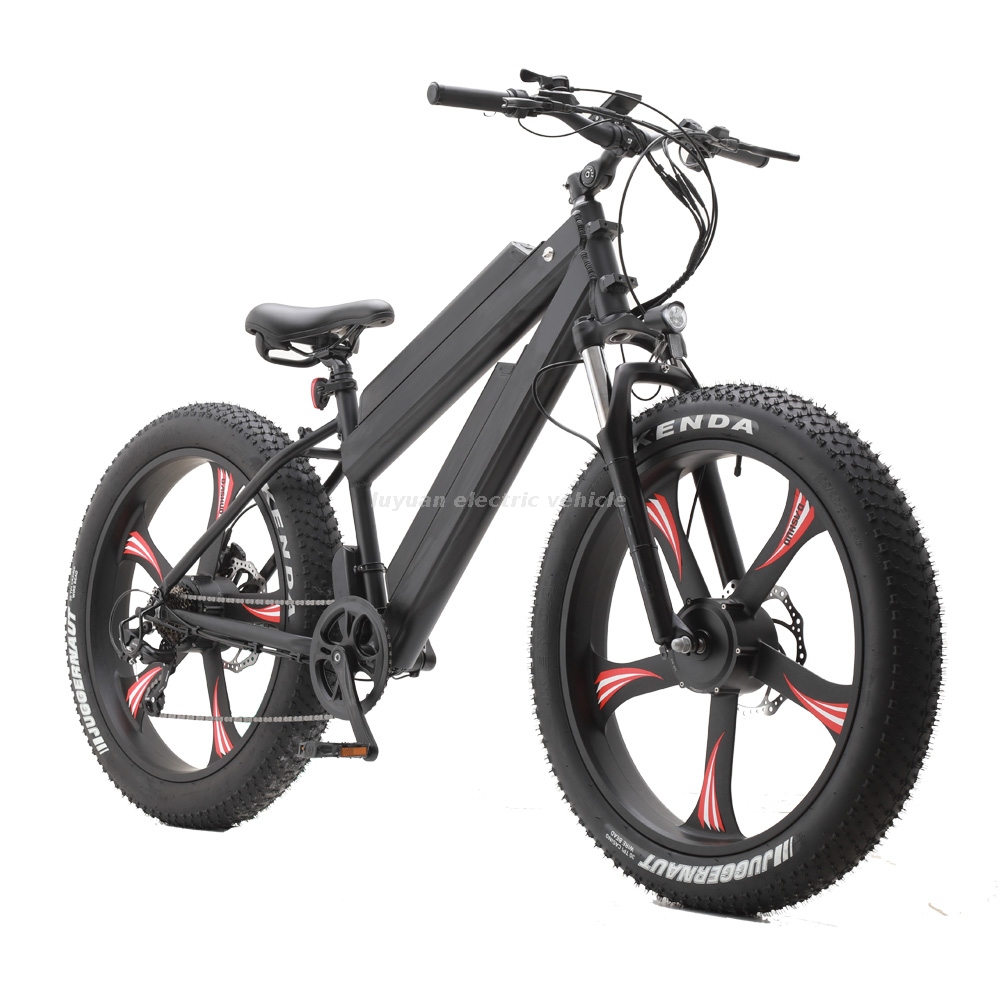 Vélo électrique EM 02WD